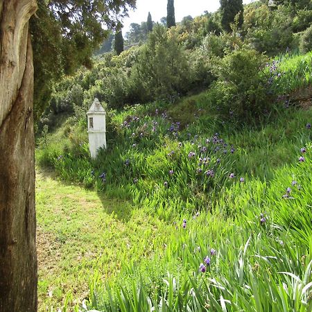 Casa Burgues Villa Beceite Eksteriør billede